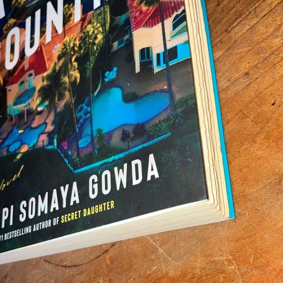 A Great Country by Shilpi Somaya Gowda - Picture 9 of 14